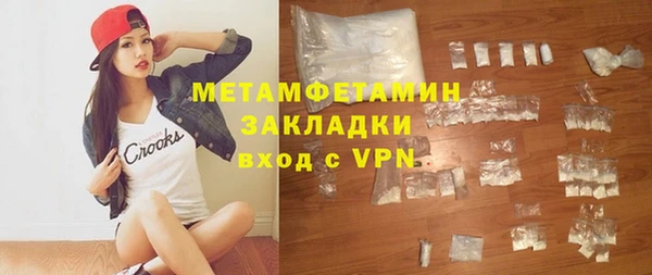прущие грибы Михайлов
