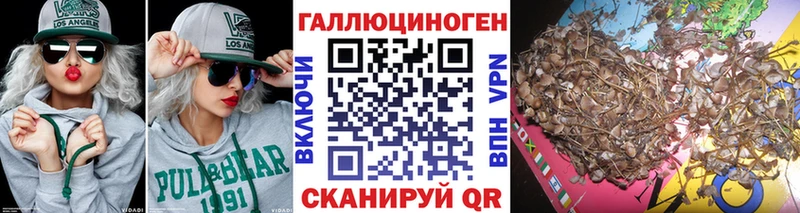 Галлюциногенные грибы Psilocybine cubensis где найти Шатура