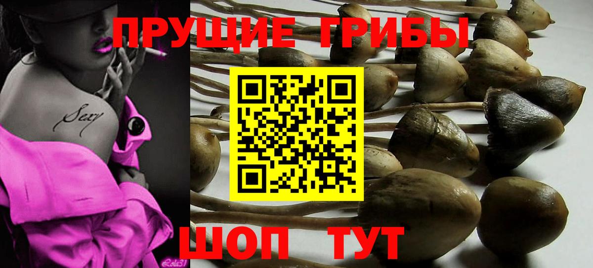 Галлюциногенные грибы мицелий  наркошоп  Шатура  Вход с VPN 